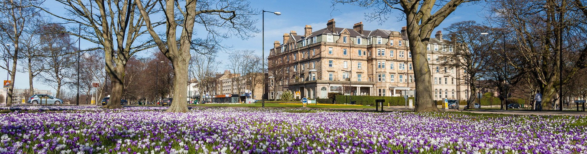 living in harrogate – main