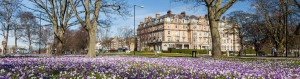 living in harrogate - main