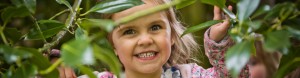 Bankfield Nursery Harrogate