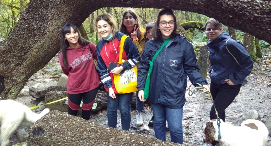 Boarders day trip to Ingleton Waterfall Trail