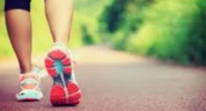 Pupils Walk The UK