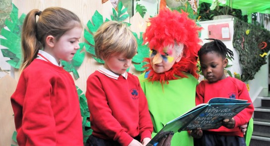 rainforest parrot reading