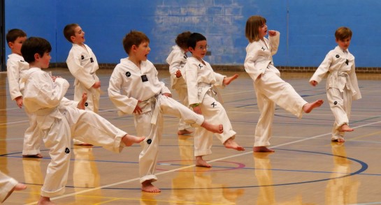 Taekwondo club grading