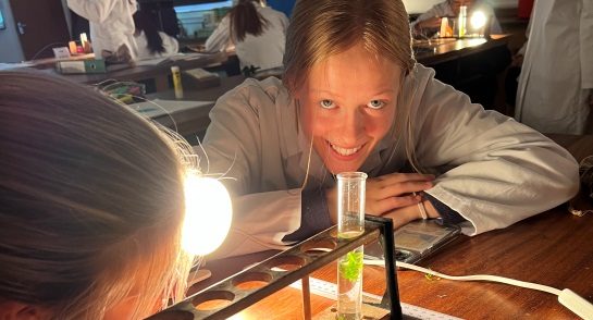 Biology photosynthesis practicals