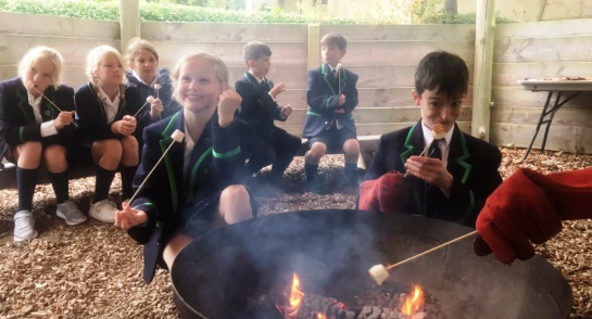 gardening and gadgets club - conkers and marshmallows