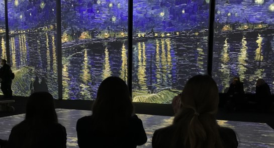 Lower School trip to Van Gogh immersive (2)