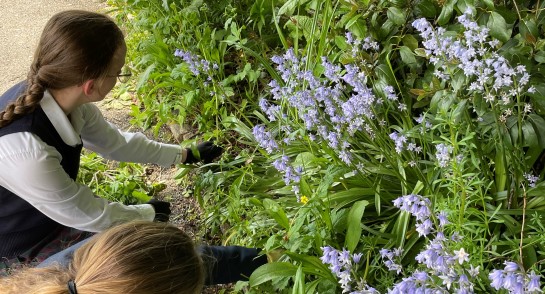 Harrogate Ladies' College pupils spend time in the garden during Mental Health Awareness Week
