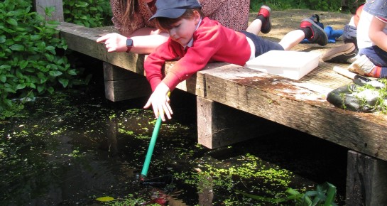 A boy from Highfield Pre-School wearing a baseball cap, along with his teacher, lean across garden decking, as they boy dips a net into the garden pond