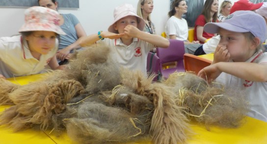 Prep 2 Go Wild! Pupils visited The Yorkshire Wildlife Park where they handled camel fur and other animal exhibits to enhance their Science work