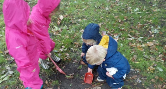 Pre school children digging for worms