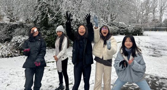 Snow Day
