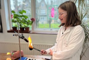 Burning food science experiment