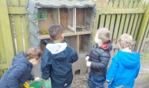Bug Hotel