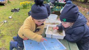 pond dipping