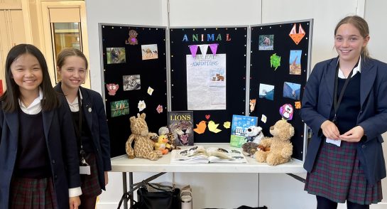 U3 Science Fair