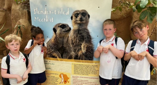 Highfield Prep School pupils at Tropical World