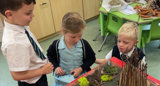 Prep 1 Stone Age project
