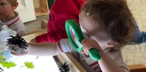 Foundation All About Me