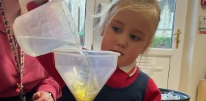 Foundation Winter Animals