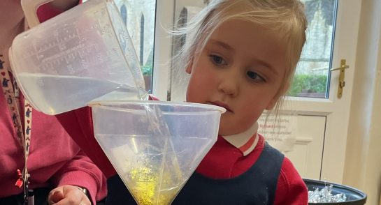 Foundation Winter Animals