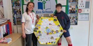 The Importance of Bees