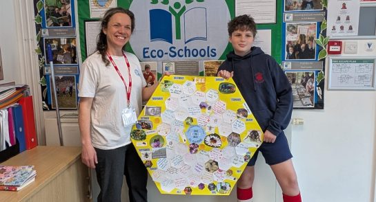 The Importance of Bees