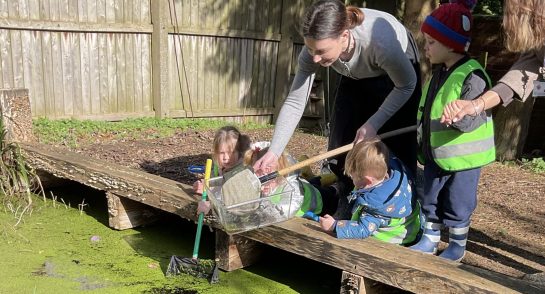 Foundation; Lifecycle of a Frog
