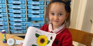 From Seed to Sunflower