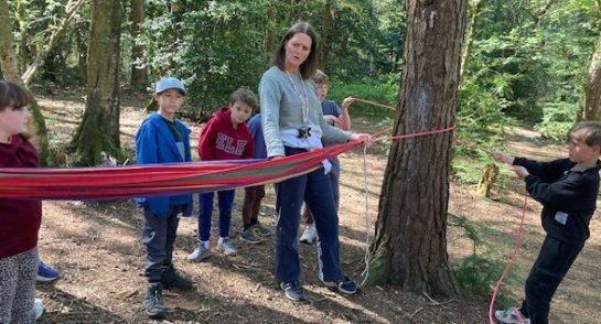 Hammock Experts
