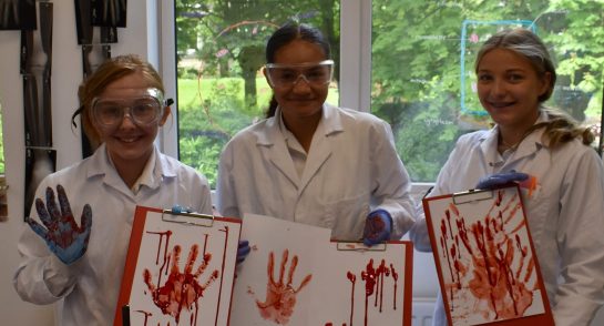 CSI Day